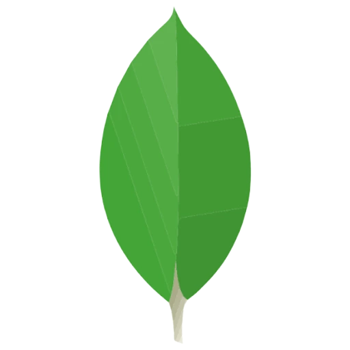 MongoDB